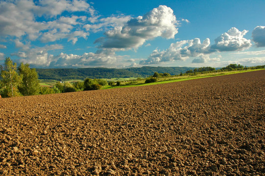 Sp&auml;tsommerliche Landschaft in S&uuml;ddeutschland, Ackerbau