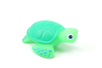 Toy Turtle