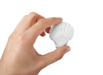Shell in a man hand.