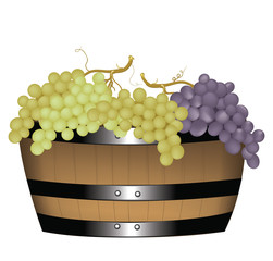 Barrel of grapes.