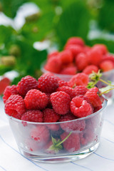 Fresh raspberry