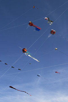 Drachenfest