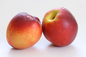 frische Nektarinen Close-up