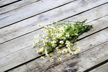 Obraz premium Bouquet of daisy on the pier