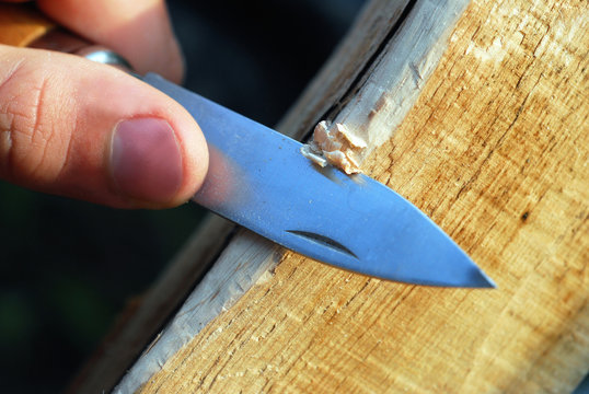 Sculpture au couteau