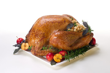 Holiday turkey on white
