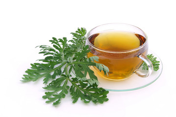 Tee Wermut - tea wormwood 02