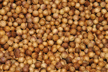 Coriander Seed - Background