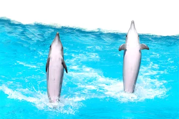 Abwaschbare Fototapete Delfine Springende Delfine