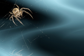 background with spider