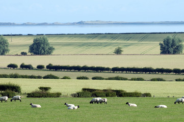 Fototapeta premium Northumberland