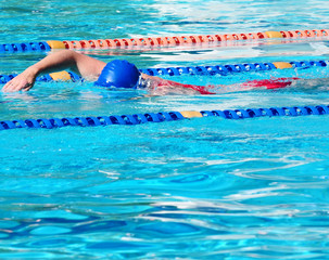 freischwimmer