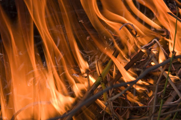 Close up of fire.