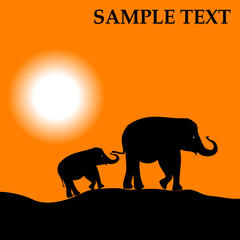Africa landscape with sundown and elephants