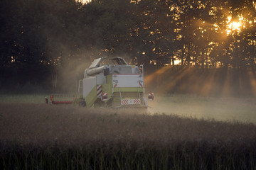 Mähdrescher auf Feld im Sonnenuntergang 4987