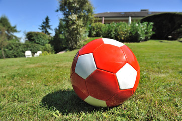 Roter Ball auf Wiese III