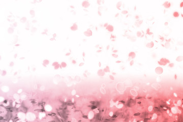 Nostalgic Sweet Memories Falling Leaves