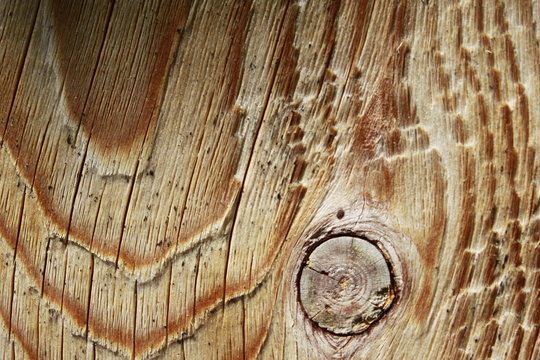 Holzmuster