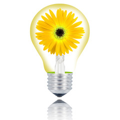 lampadina fiore