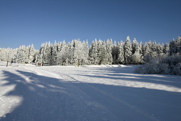 Schneelandschaft im Vogelsberg; Deutschland.