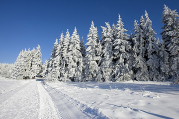 Fototapeta na wymiar Krajobraz Śnieg w Vogelsberg, Niemcy.