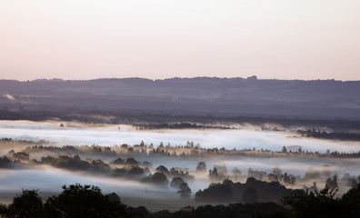 nebel am morgen