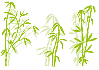 Fototapeta premium Bamboo tree silhouettes, vector