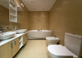 Designer Bathroom