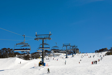 Snow Skiers