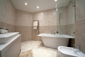Designer bathroom