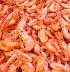 shrimps at fishmarket