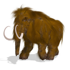 Fototapeta na wymiar Mammoth