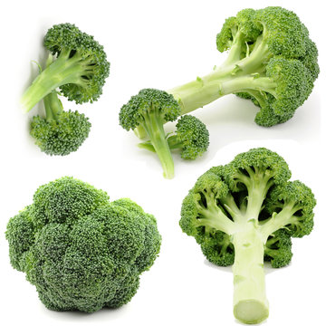 Fresh Raw Broccoli Isolated on White