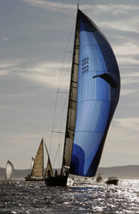 Obraz premium Magic Carpet 2