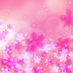 Obraz na płótnie Canvas cherry blossoms　background