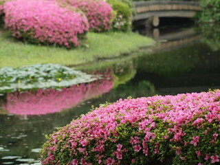 Fototapeta na wymiar Jardin del Palacio Imperial en Tokio