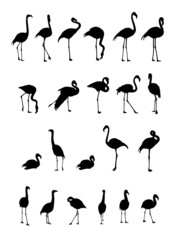 Fototapeta premium flamingo silhouettes collection
