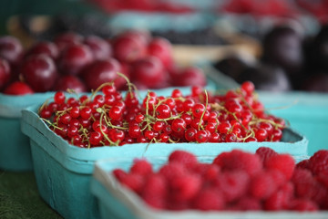 red currant