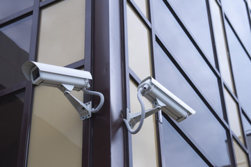 video observation chamber