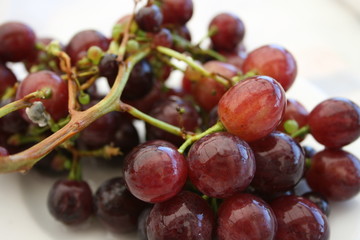 Fresh Grapes