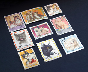 Fototapeta na wymiar Cat stamps