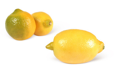 tree green yellow lemon