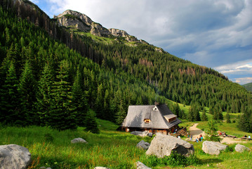 schronisko w Tatrach