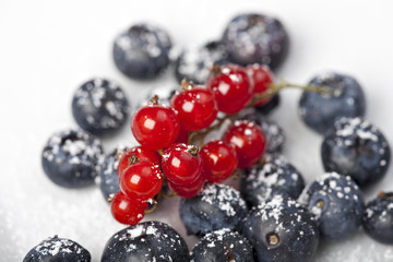 Blaubeeren und rote Johannisbeeren mit Puderzucker