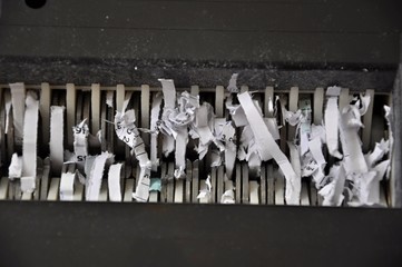 shredded paper
