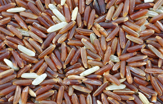 Close View Of Himalayan Red Rice