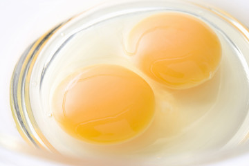 タマゴ