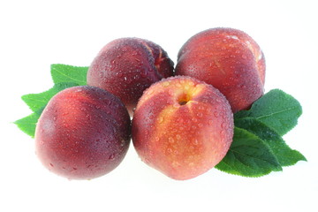 Peaches on leaves.