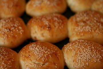 fresh buns
