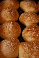 fresh buns